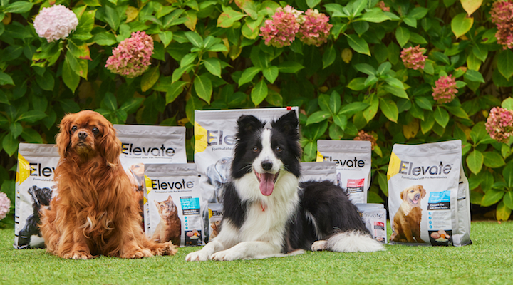 Coles launches own brand premium pet food range Inside FMCG