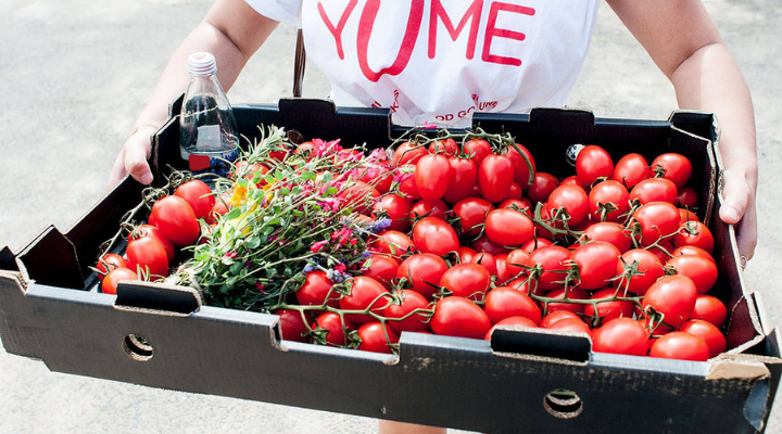 Suez takes stake in online startup Yume to help combat food waste
