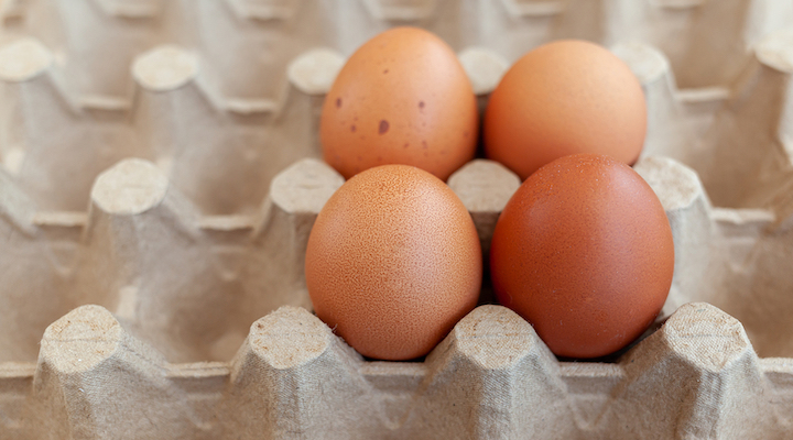 What to Know About the Egg Shortage and Misinformation - The New York Times