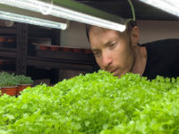Former chef turns to urban farming under Sydney CBD