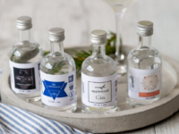 Online craft gin retailer Gintonica collapses into administration