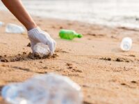 CSIRO program to support SMEs with innovative plastic waste solutions