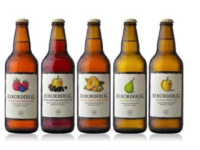 CocaCola ends decade-long partnership with Rekorderlig Cider