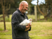 Inghams to acquire Bostock Brothers' organic chicken business