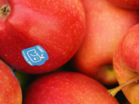 National approach called for over fruit sticker ban