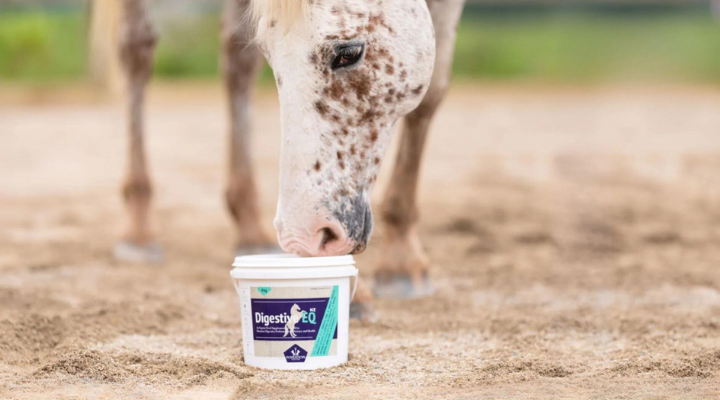 Poseidon Animal Health enters the US market with equine range