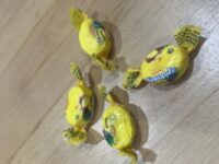 Meth-laced pineapple lollies found in Auckland charity