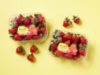 Driscoll’s Sweetest Batch Strawberries return to supermarkets