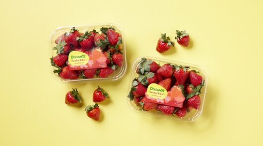 Driscoll’s Sweetest Batch Strawberries return to supermarkets