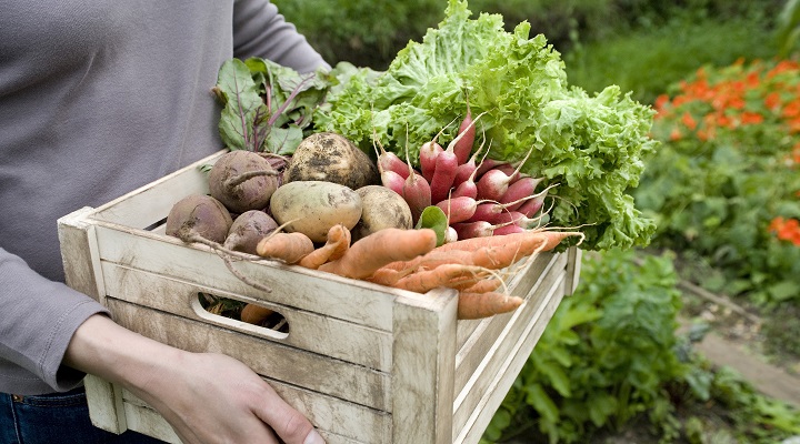 A woman carries fresh vegetables