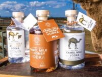 Summer Land Camels launches first camel milk vodka