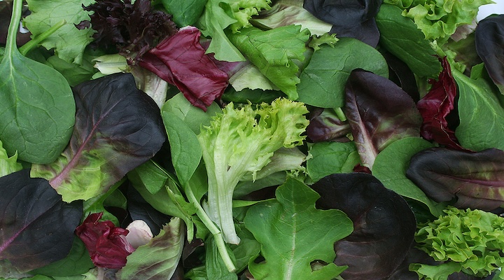 Mixed-Green-Lettuce-Background-