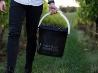 Australian Vintage