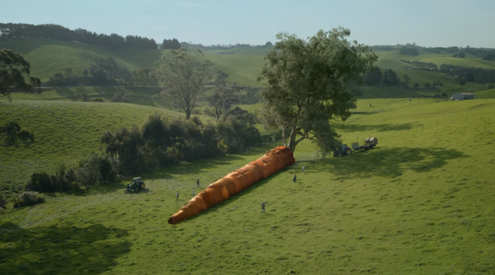 Woolworths Christmas advert