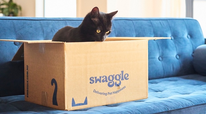 Swaggle