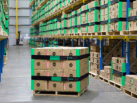 Frank Green founder wants to make pallet plastic wrap extinct
