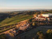 Treasury Wine Estates