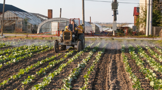 farm and crops